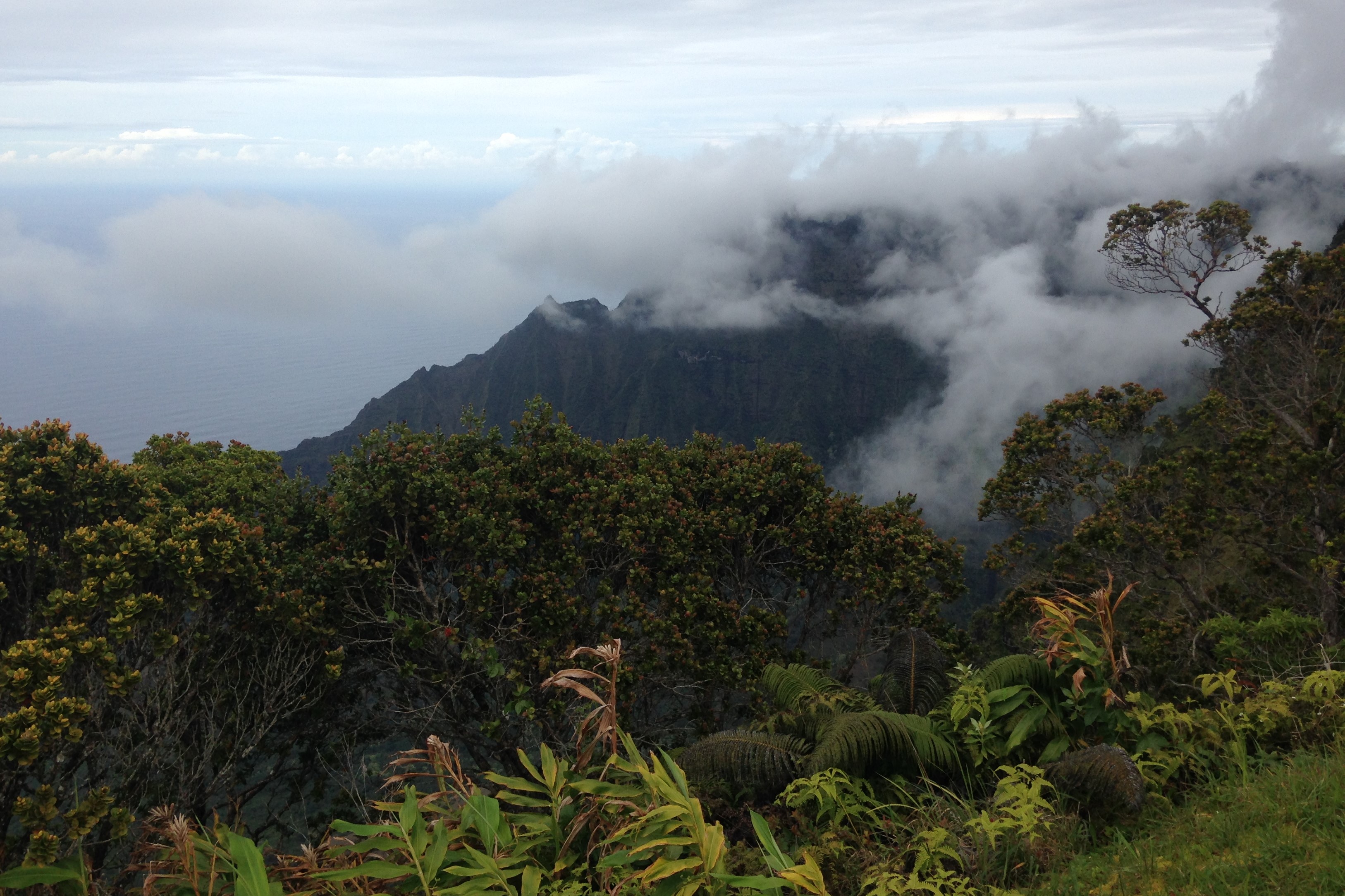 Hawaii Bild für Plakat