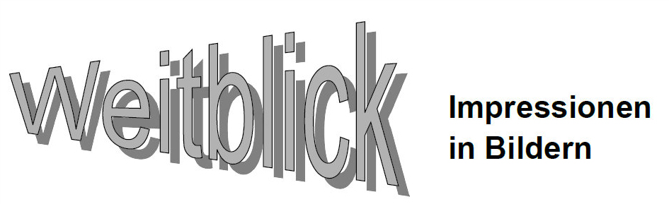 weitblick logo